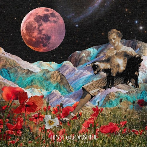 Miss Moonshine (feat. Tim Langedijk & Jan Van Duikeren)