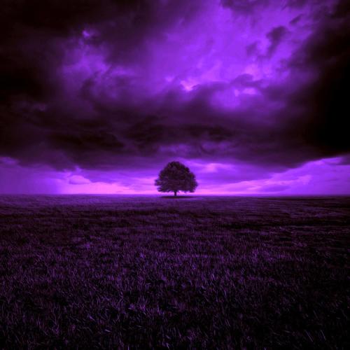 1 janvier 2022 /  Cette vie que tu mènes (Explicit)