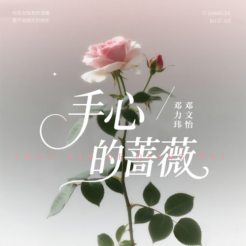 手心的蔷薇