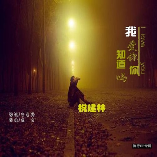 我爱你你知道吗