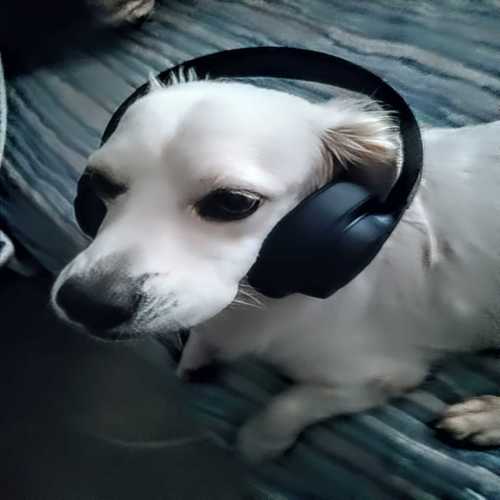 Smile at life (Demo)