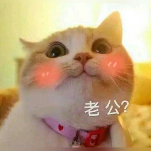 你是我的男朋友