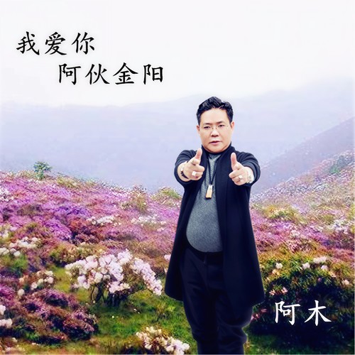 我爱你阿伙金阳