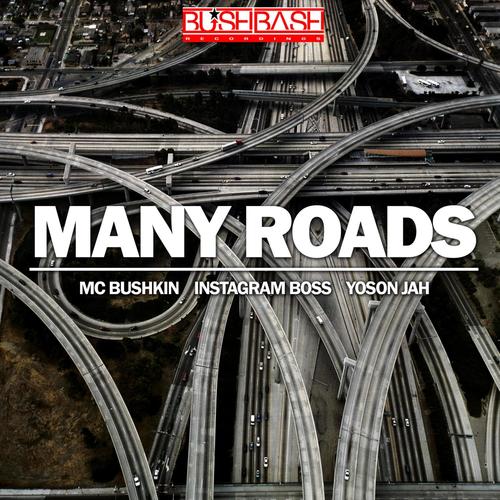 Many Roads (feat. Instagram Boss & Yoson JAH)