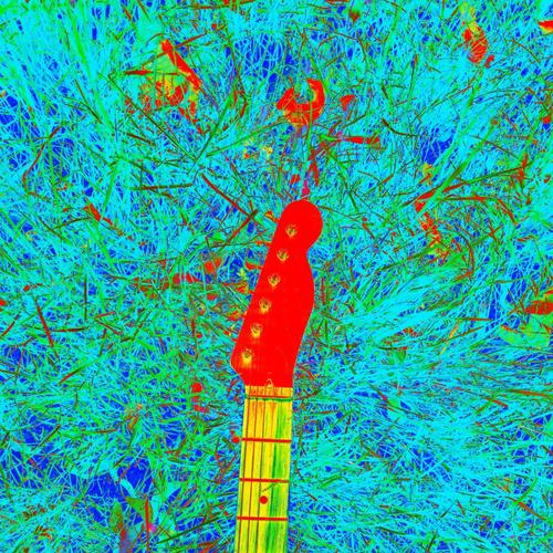 Tanner Whatchu Wearin Tonight