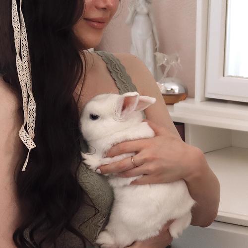 Flightless Bird, American Mouth