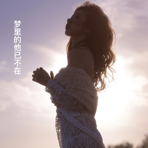 梦里的她已不在