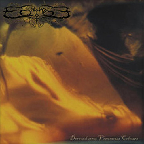 Dorsacharms Venemous Colors