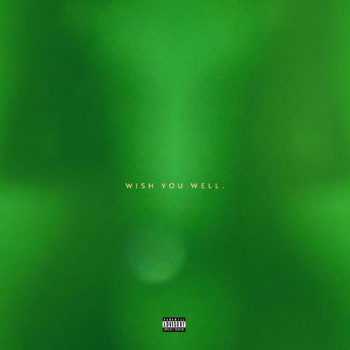 Wish You Well (Explicit)