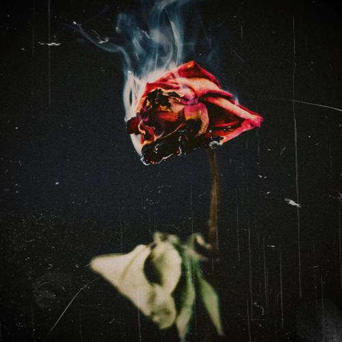 Love You Anymore (feat. Seven) [Radio Edit]