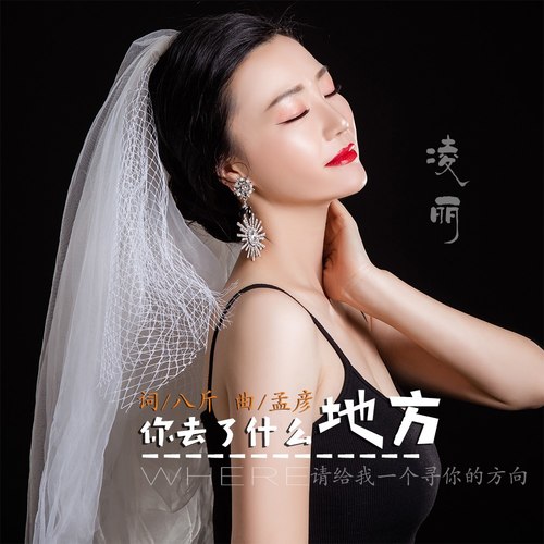 你去了什么地方