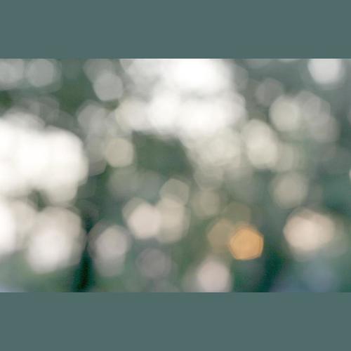 爱了很久的朋友