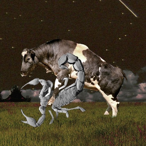 Taurus
