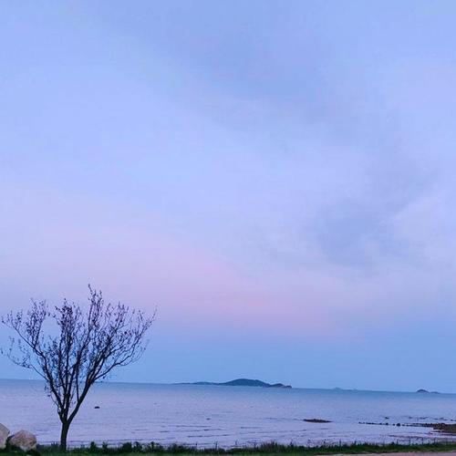 我的散文-诗