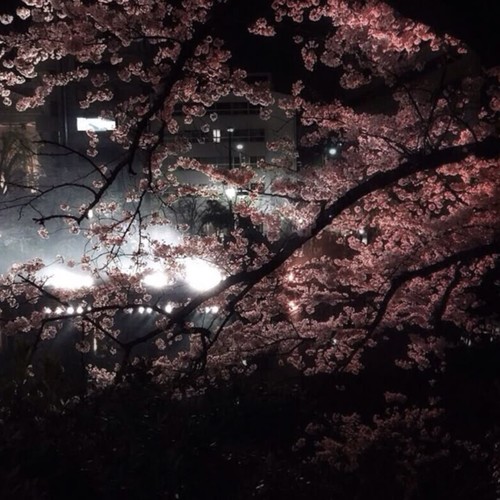 yea i doubt it (Explicit)