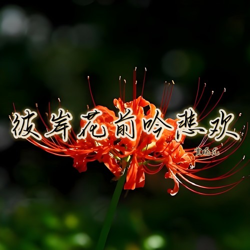 彼岸花前吟悲欢