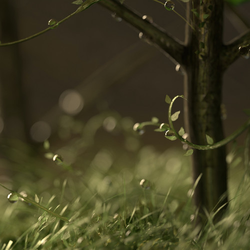 2020 Summer Soft Songs for Meditation