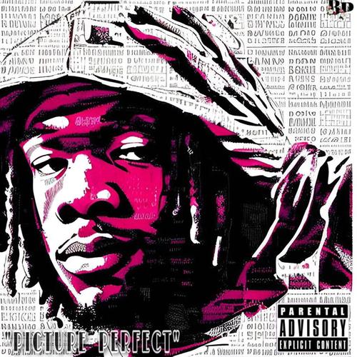Picture Perfect (Explicit)