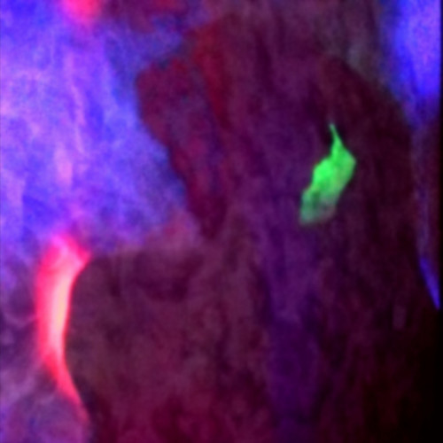 бардак (Explicit)