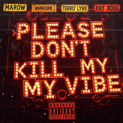 Please Don't Kill My Vibe (Explicit)