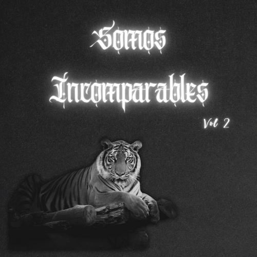 Somos incomparables, Vol. 2 (Explicit)