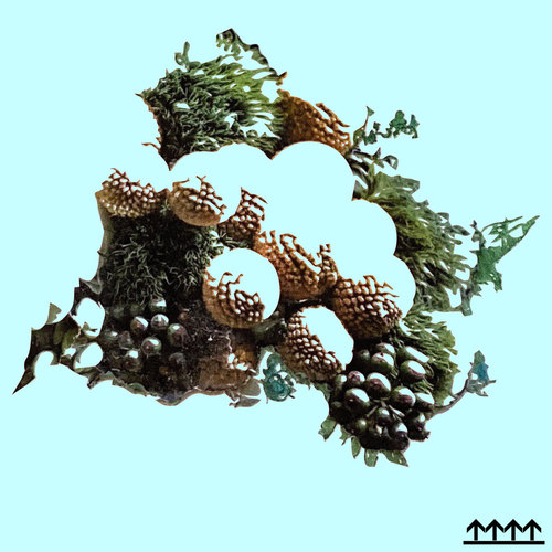A Glimpse of Christmas (Explicit)