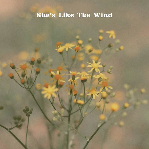 She's Like the Wind