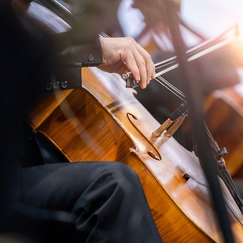 Symphony of Silence: Meditation Orchestra