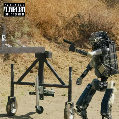 DYSFUNCTIONAL (Explicit)