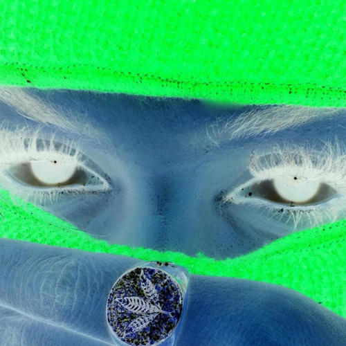 Hot jungle (Explicit)