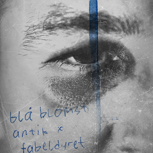 blå blomst (Explicit)