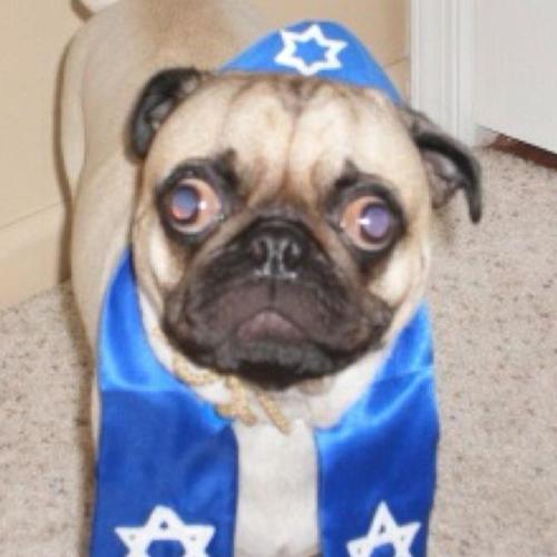 SmokeAPack (feat. PacksFace) [Explicit]