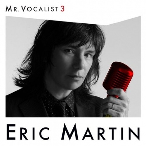 MR.VOCALIST 3