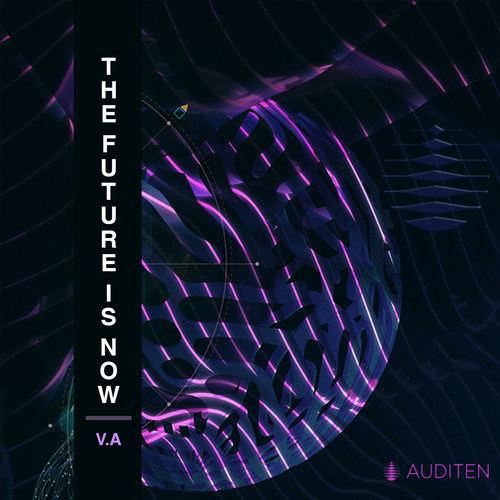 The Future Is Now V.A.