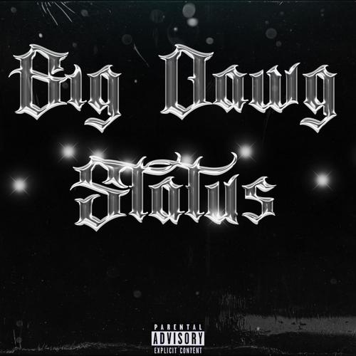 Big Dawg Status (feat. ZDubb) [Explicit]