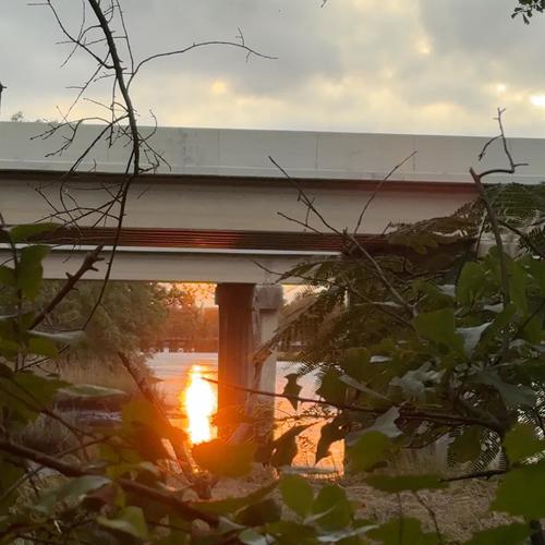 Our Truth (feat. $parrot)