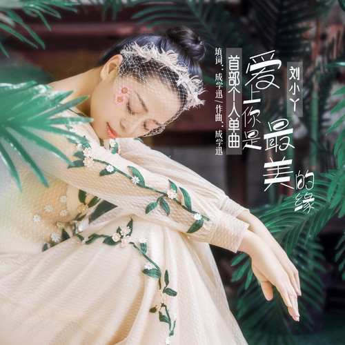 爱上你是最美的缘