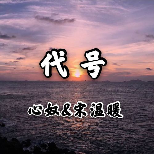 代号