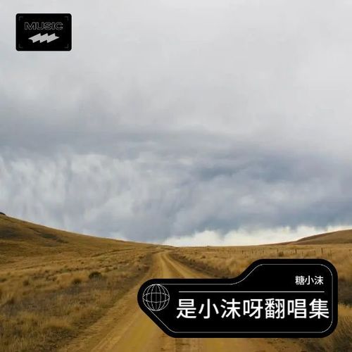 是小沫呀翻唱集