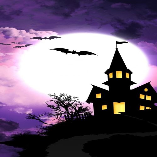 MTG - BROTOU NA TRETA CHEIA DE MARRA (Explicit)