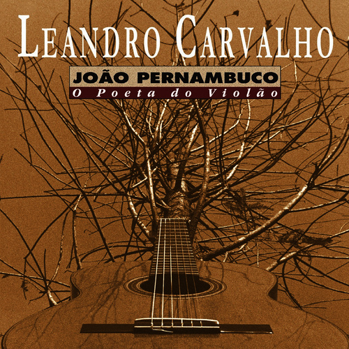 João Pernambuco o Poeta do Violão