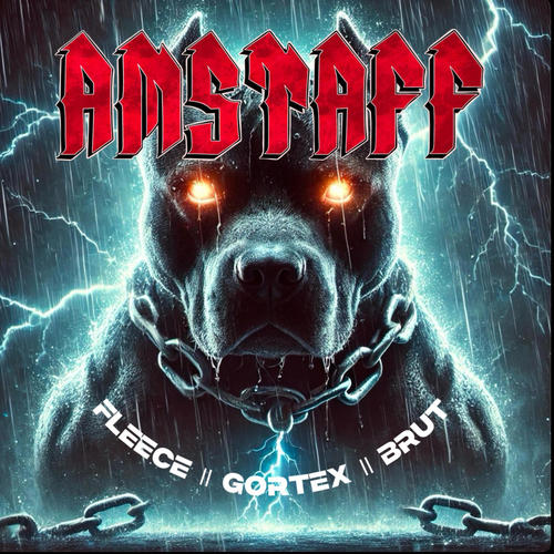 100 LINJER (AMSTAFF 2025) (feat. BRUT) [Explicit]