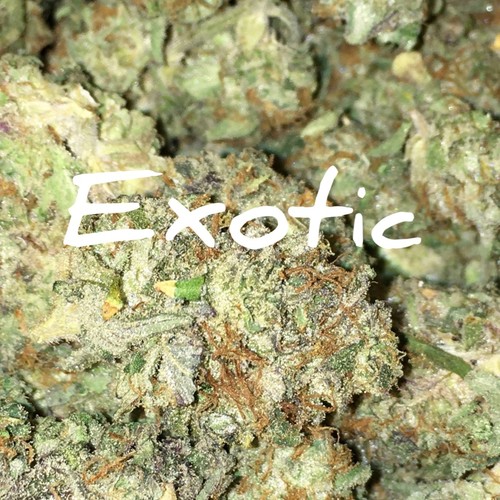 Exotic (Explicit)