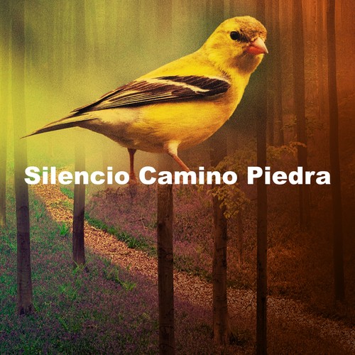 Silencio Camino Piedra