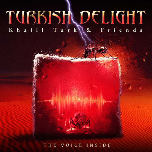 The Voice Inside Turkish Delight (feat. Overland)