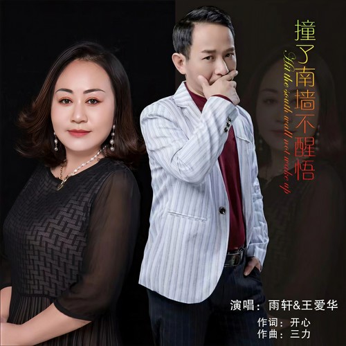 撞了南墙不醒悟 (对唱版)