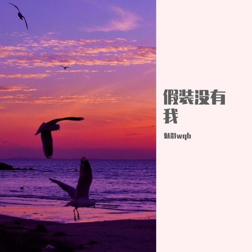 假装没有我