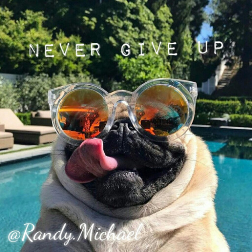 Never Give Up