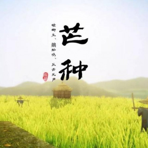 芒种咕咚版 (DJRemix版)