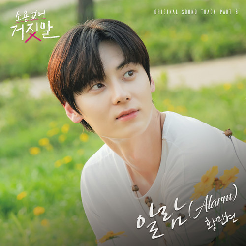소용없어 거짓말 OST Part 6 (My Lovely Liar, Pt. 6 (Original Television Soundtrack)) (没用的谎言 OST Part 6)